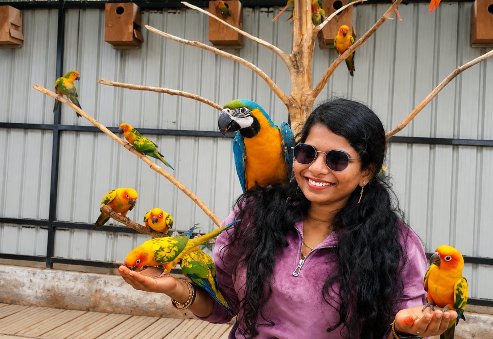 Exotic Birds